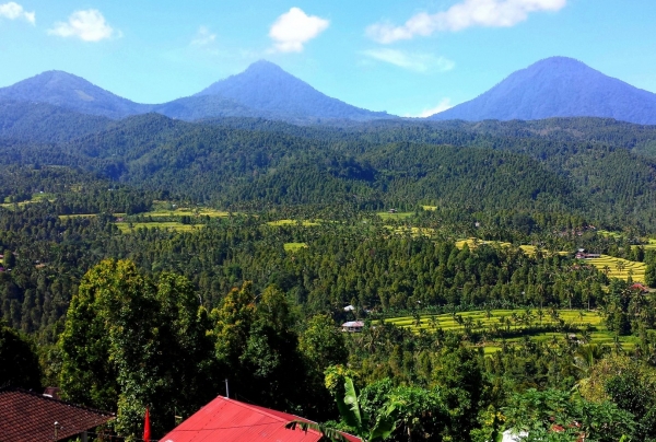 Zdjęcie z Indonezji - Centralna Bali