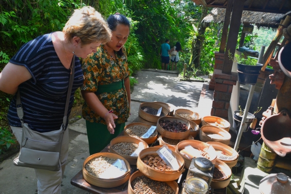 Zdjęcie z Indonezji - Na plantacji kawy