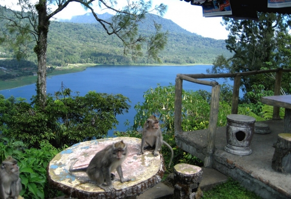 Zdjęcie z Indonezji - Na punkcie widokowym Twin Lake