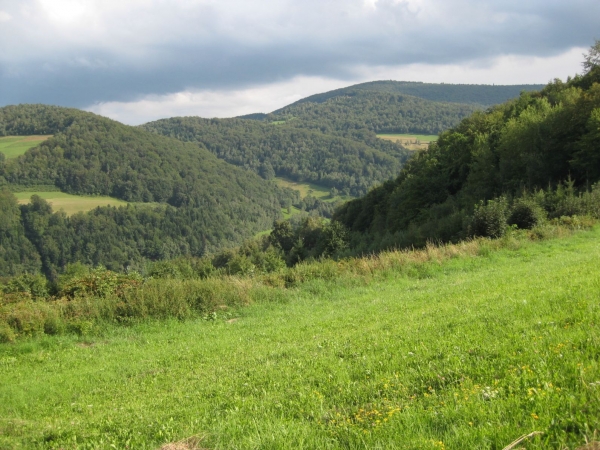 Zdjęcie z Polski - 