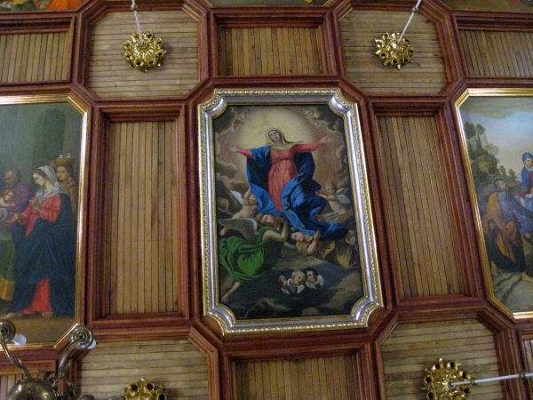 Zdjęcie z Polski - Żmiąca