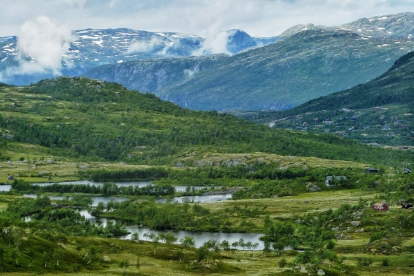 Zdjęcie z Norwegii - Płaskowyż Hardangervidda