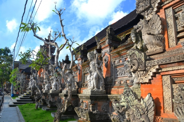 Zdjęcie z Indonezji - Zwiedzamy Ubud
