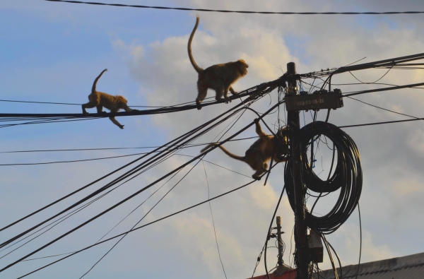 Zdjęcie z Indonezji - Ekipa elektrykow przy pracy :)