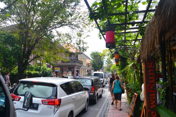 Zdjęcie z Indonezji - Ubud