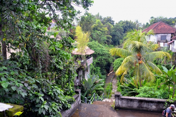 Zdjęcie z Indonezji - Ubud
