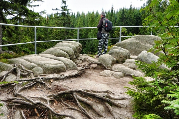 Zdjęcie z Polski - nad Pląsawą - granitowo-korzeniowy tarasik widokowy