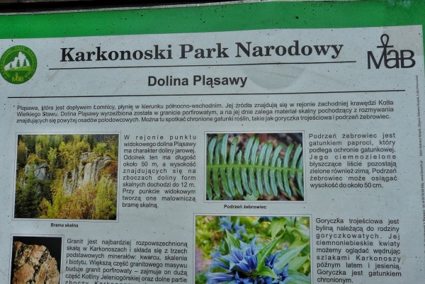 Zdjęcie z Polski - ...