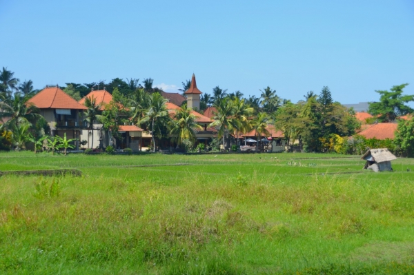 Zdjęcie z Indonezji - Przedmiescia Ubud