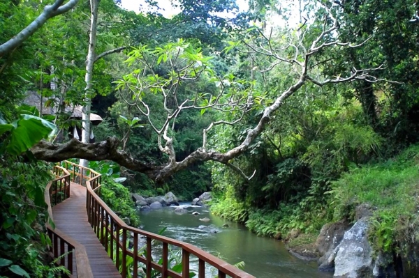 Zdjęcie z Indonezji - Przedmiescia Ubud