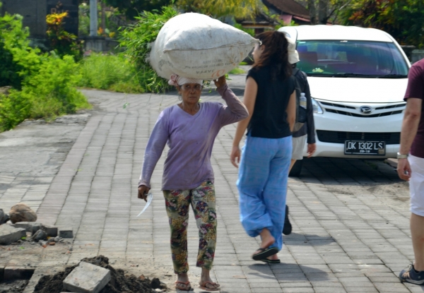 Zdjęcie z Indonezji - Zielsko na pasze sciete sierpem kobiety nosza na glowach