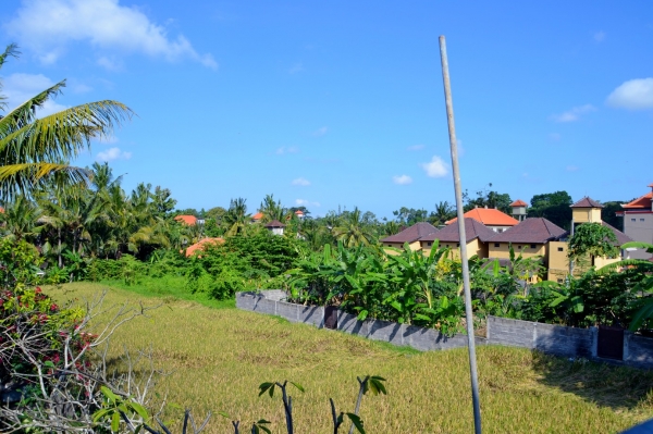 Zdjęcie z Indonezji - Ubudzkie przedmiescia