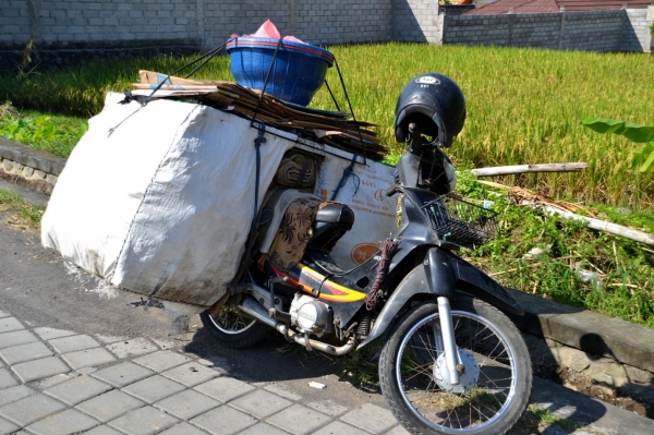 Zdjęcie z Indonezji - Azjatycki pojazd uniwersalny