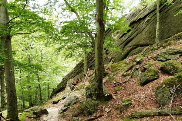 Zdjęcie z Polski - wokół wszędzie śliczności - granitowy las... jak to w Karkonoszach