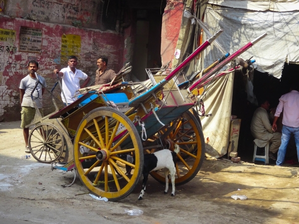 Zdjęcie z Indii - Delhi