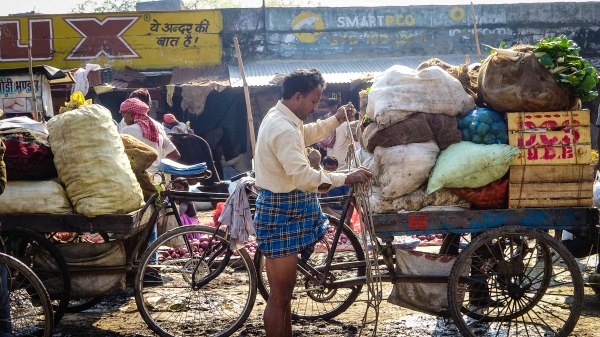 Zdjęcie z Indii - Delhi