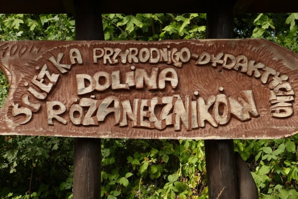Zdjęcie z Polski - ...