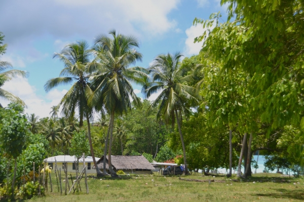 Zdjęcie z Vanuatu - Vanuacka wies