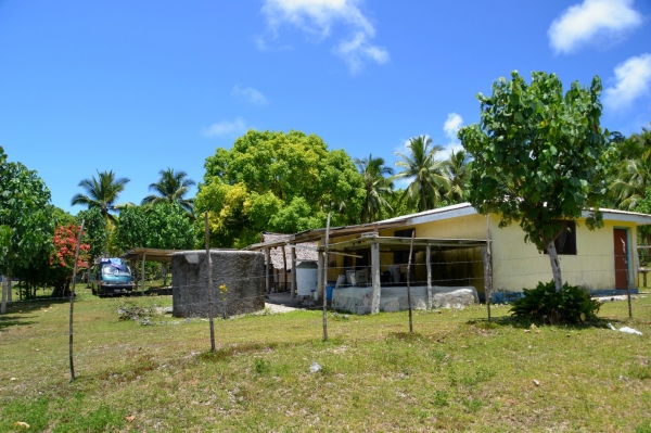 Zdjęcie z Vanuatu - Vanuackie gospodarstwo