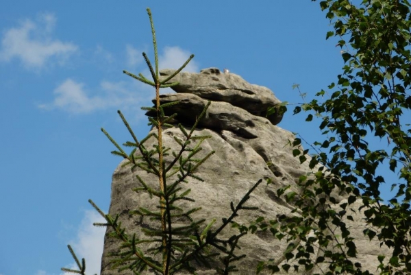 Zdjęcie z Czech - "Żółw"