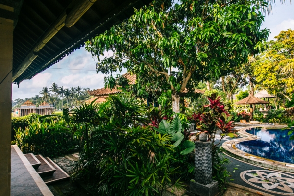 Zdjęcie z Indonezji - Ubud - hotel