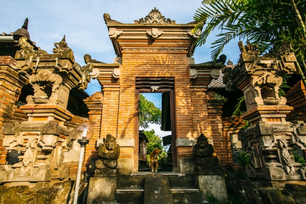 Zdjęcie z Indonezji - 