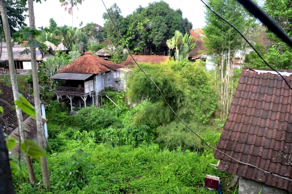 Zdjęcie z Indonezji - Obrzeza Ubud