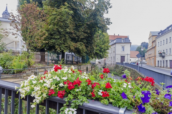 Zdjęcie z Czech - Miasteczko Königstein