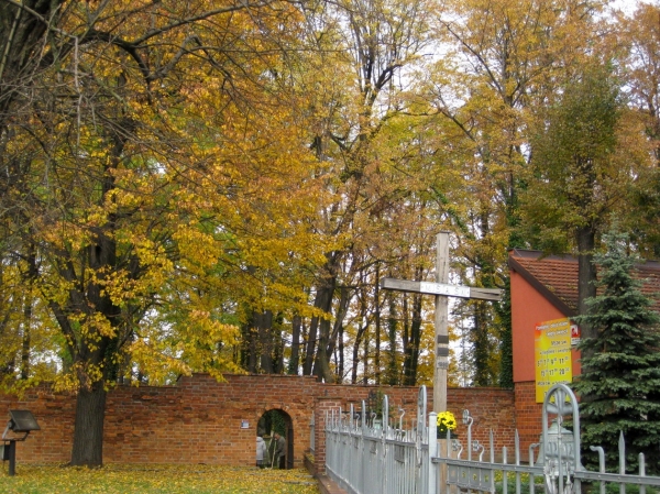 Zdjęcie z Polski - Żory