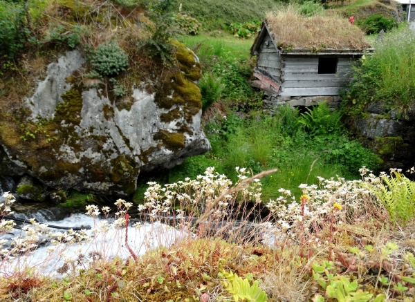 Zdjęcie z Norwegii - Geiranger