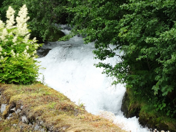 Zdjęcie z Norwegii - w Geiranger