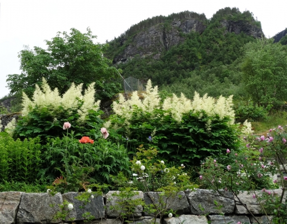 Zdjęcie z Norwegii - w Geiranger