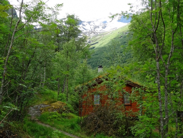 Zdjęcie z Norwegii - Po drodze...