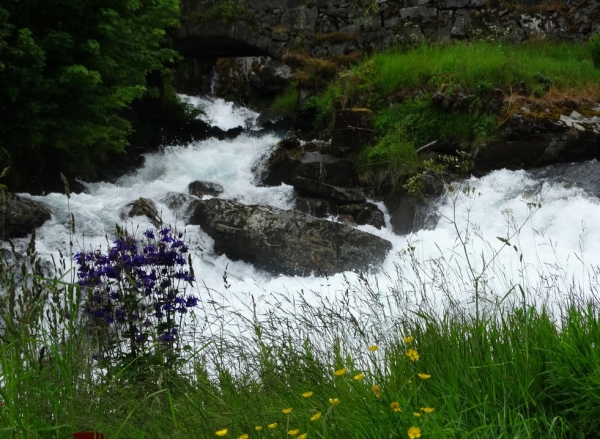 Zdjęcie z Norwegii - w Geiranger