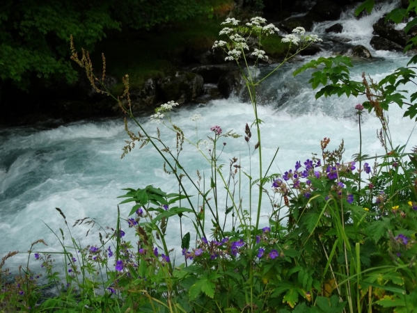 Zdjęcie z Norwegii - w Geiranger