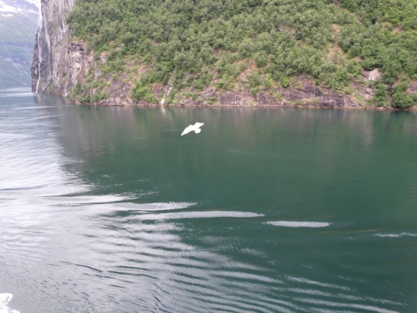 Zdjęcie z Norwegii - Geirangerfjord