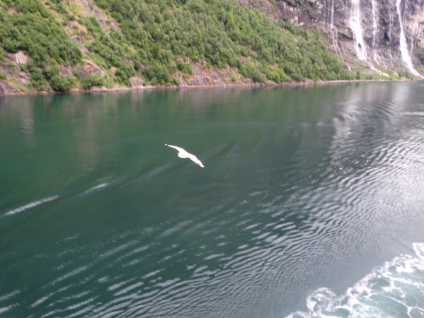 Zdjęcie z Norwegii - Geirangerfjord