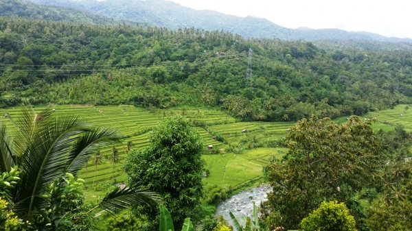 Zdjęcie z Indonezji - 