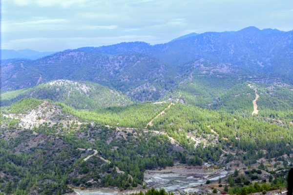 Zdjęcie z Cypru - Góry Troodos
