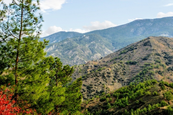 Zdjęcie z Cypru - Góry Troodos - masyw Olimpu