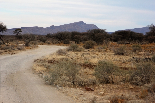 Zdjęcie z Namibii - 