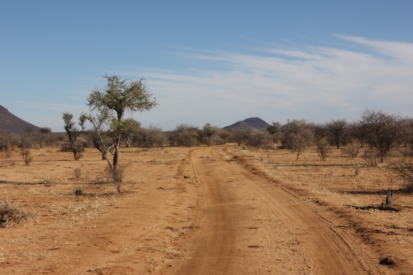 Zdjęcie z Namibii - 