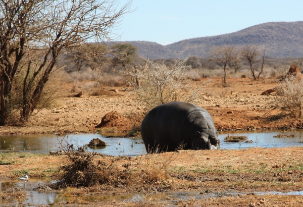 Zdjęcie z Namibii - 