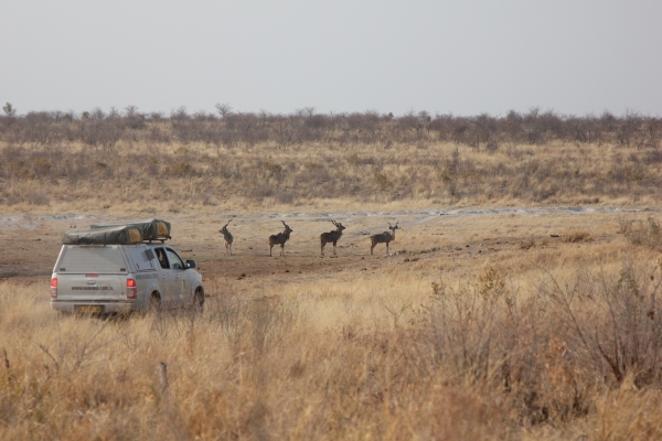 Zdjęcie z Namibii - Khaudum NP