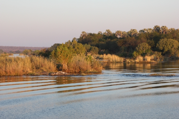 Zdjęcie z Namibii - Rejs po Zambezi