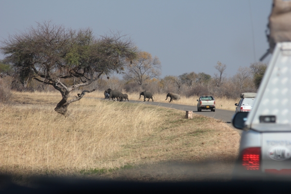 Zdjęcie z Namibii - w drodze do Hwange NP