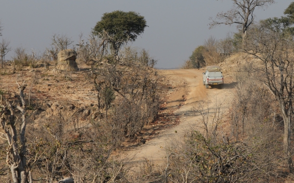 Zdjęcie z Namibii - Hwange NP