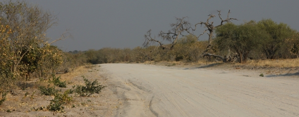 Zdjęcie z Namibii - 