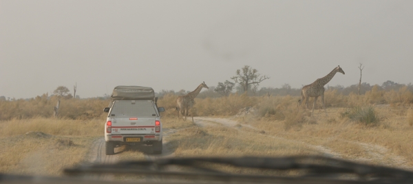 Zdjęcie z Namibii - 