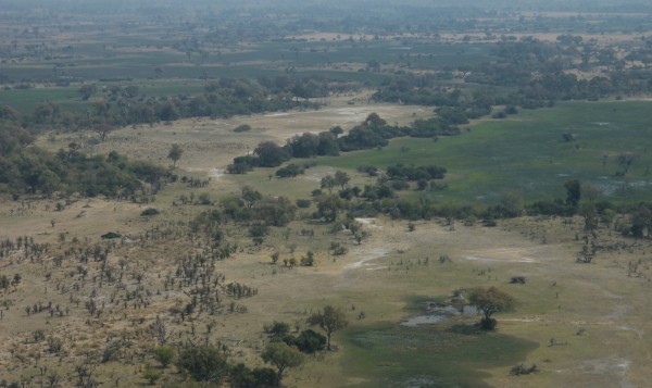 Zdjęcie z Namibii - Botswana